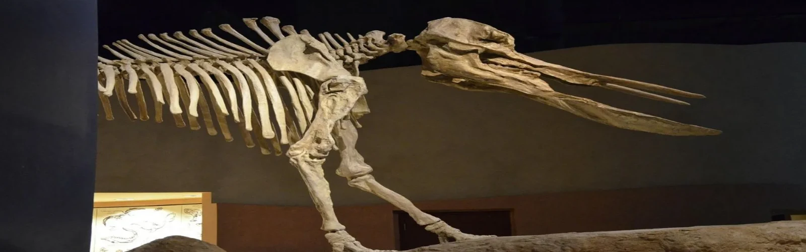 9 Best Museums in Riyadh, Saudi Arabia