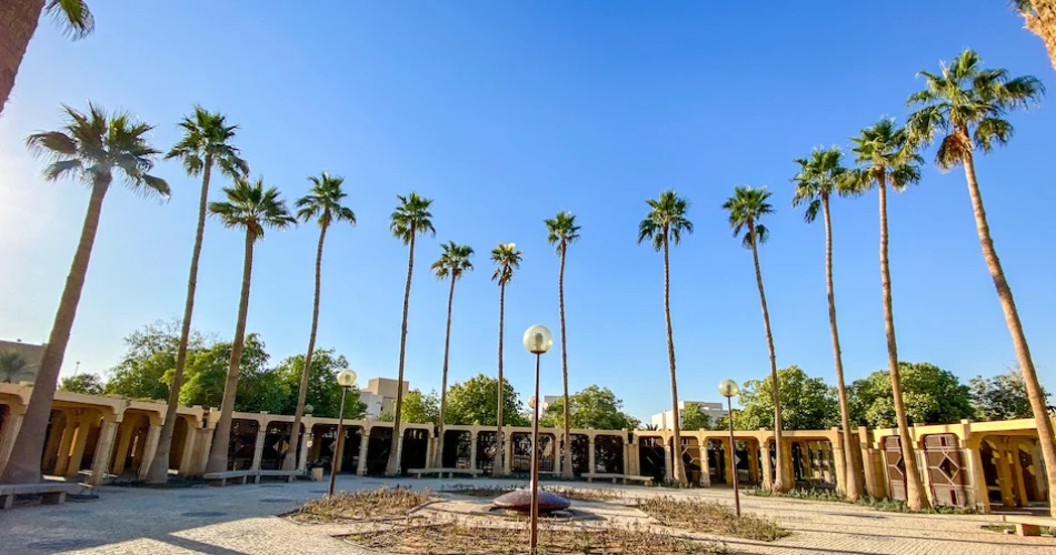 7 Of Riyadh’s Top Walks
